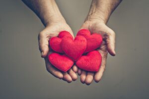 LYBUNTs, giving campaign, end-of-year giving campaign, audience, donors